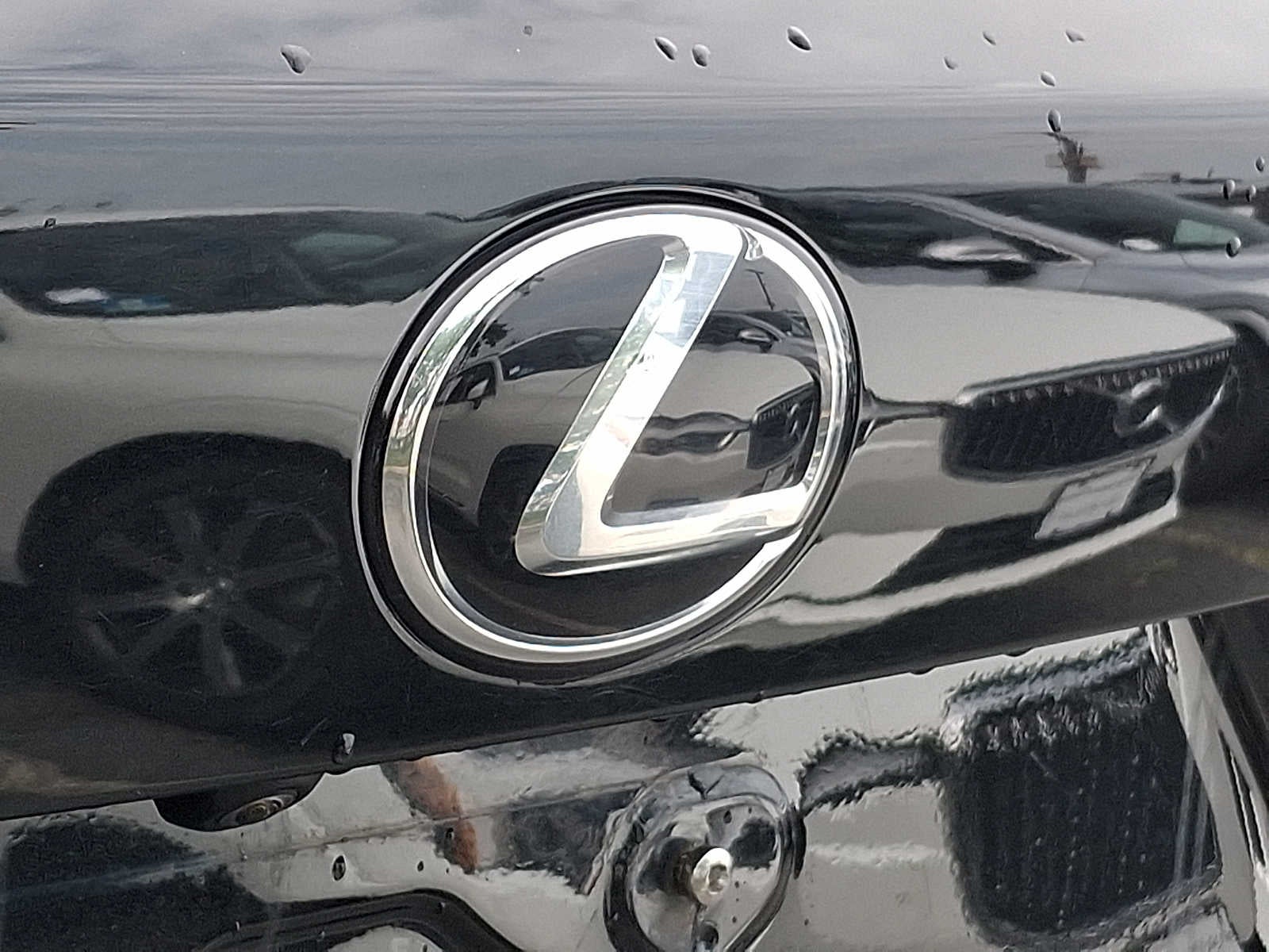 2019 Lexus NX 300 NX 300 AWD