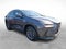 2024 Lexus NX 350h Premium