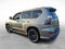 2023 Lexus GX 460 LUXURY LUXURY