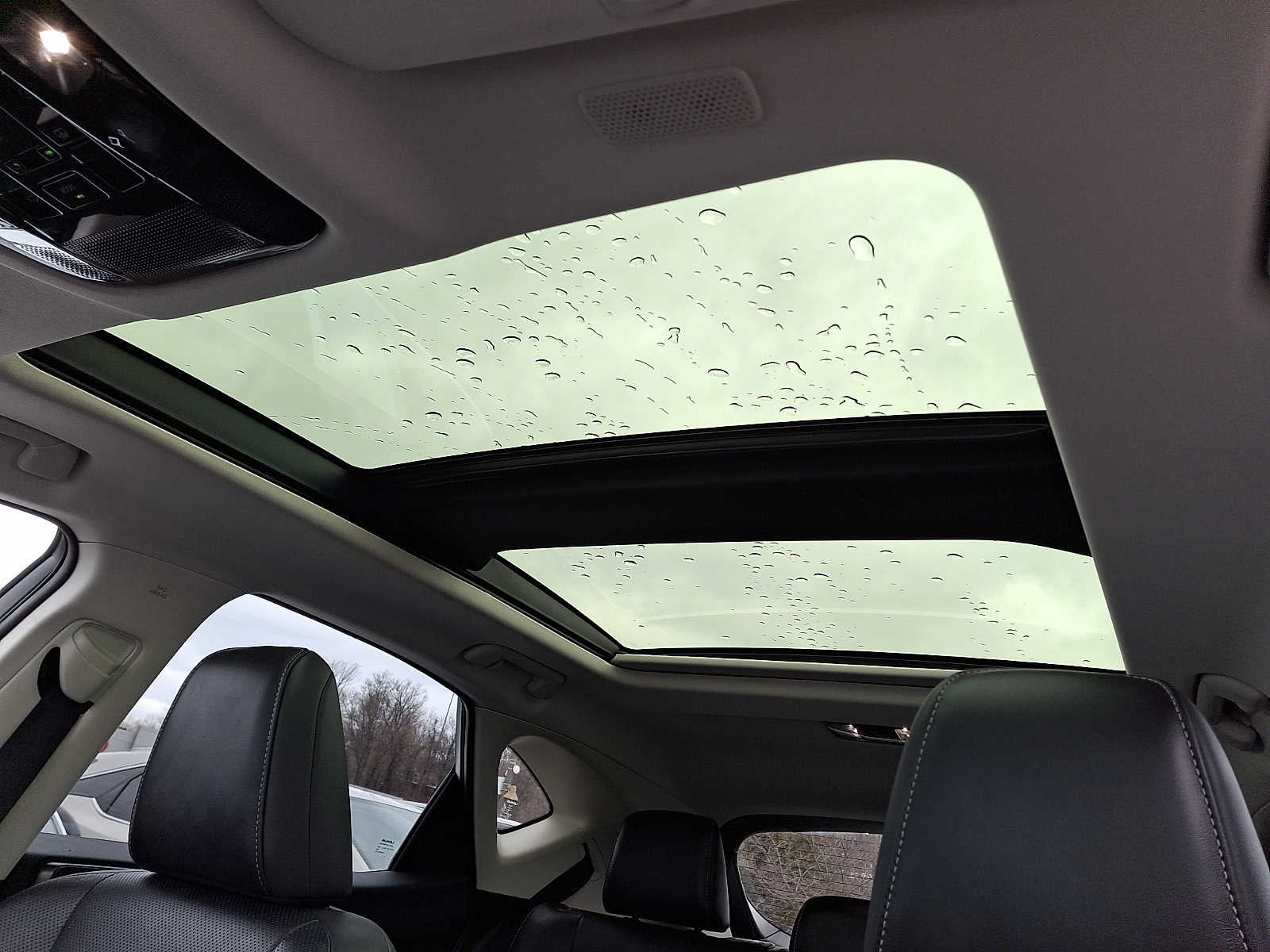 2024 Lexus NX Luxury