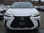 2024 Lexus NX Luxury
