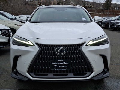 2024 Lexus NX Luxury