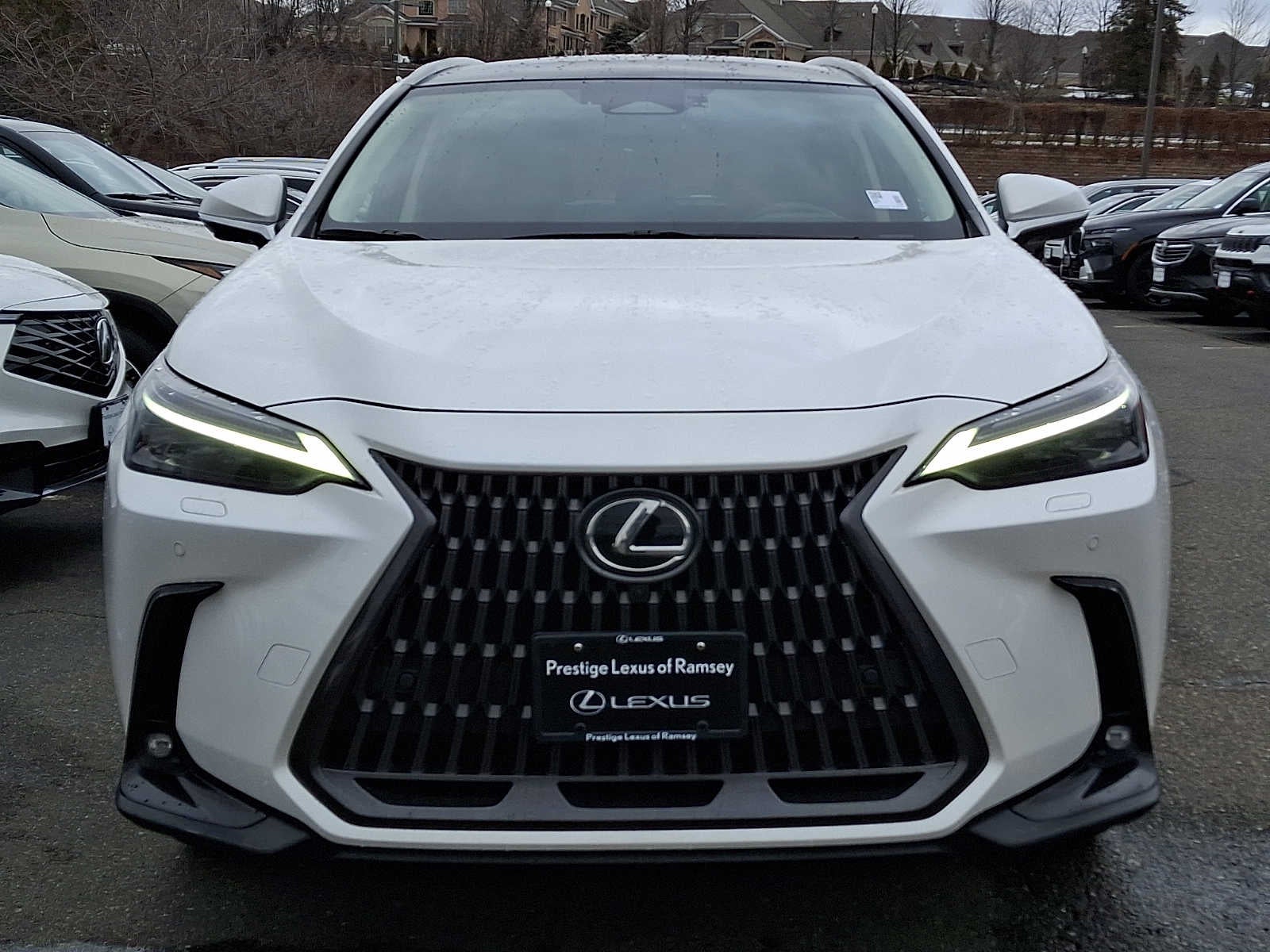 2024 Lexus NX Luxury