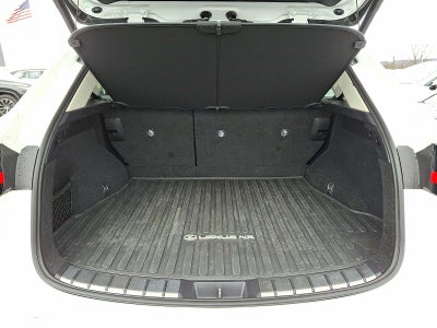 2024 Lexus NX Luxury