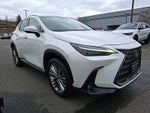 2024 Lexus NX Luxury