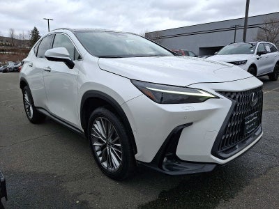 2024 Lexus NX Luxury