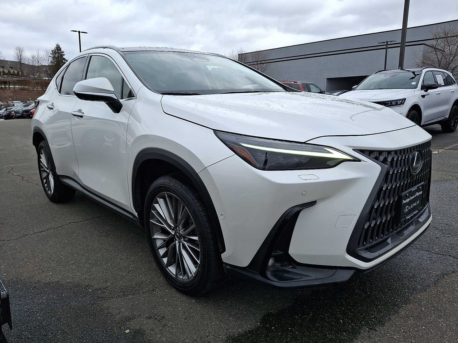 2024 Lexus NX Luxury