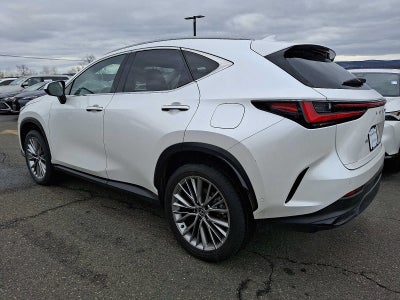 2024 Lexus NX Luxury