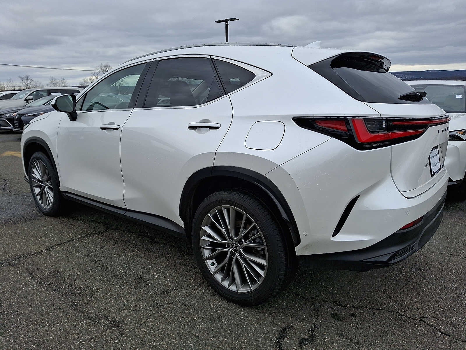 2024 Lexus NX Luxury