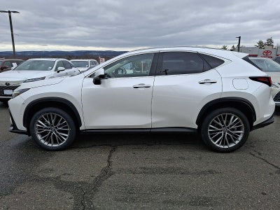 2024 Lexus NX Luxury