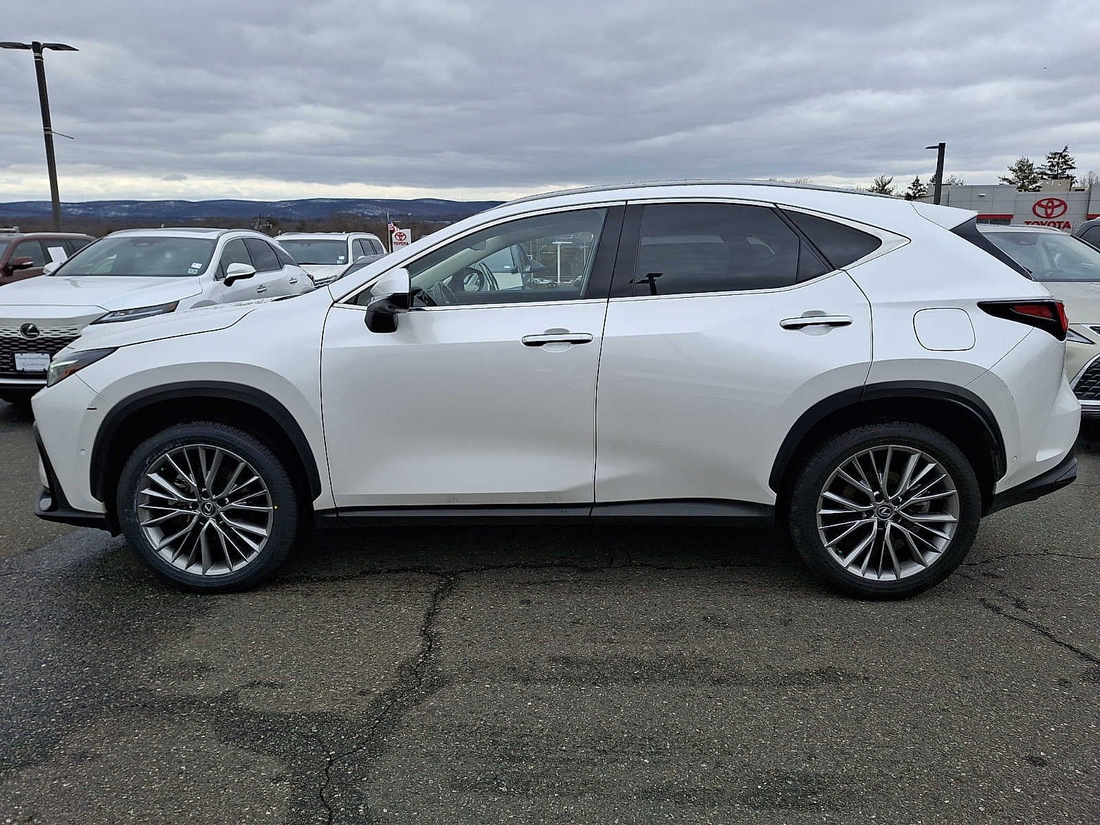 2024 Lexus NX Luxury