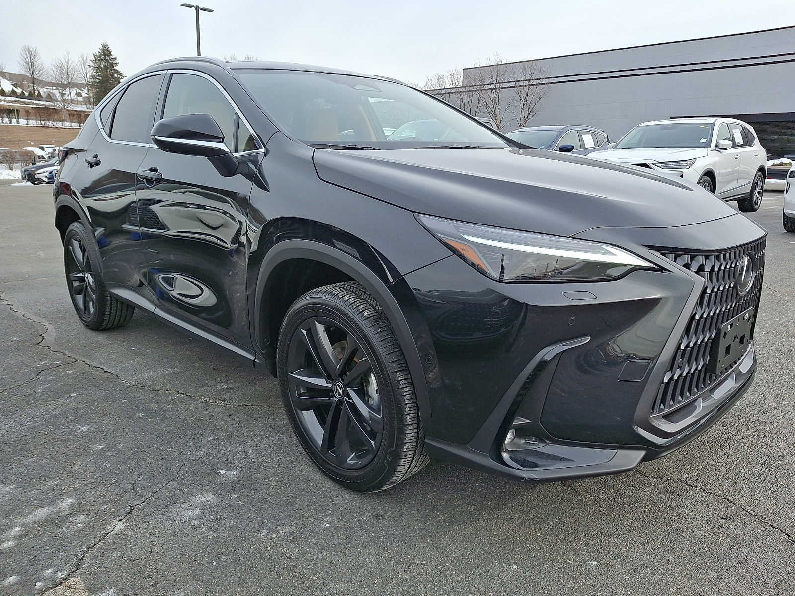 2025 Lexus NX NX 450h+ Luxury AWD